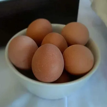 Rodon ホテル Paralía