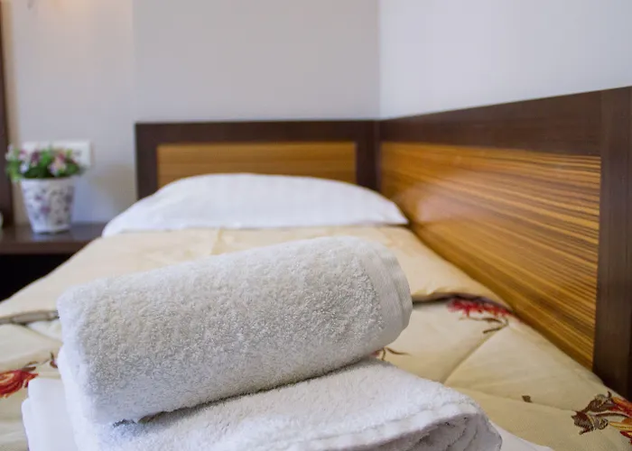 Rodon Hotel 3*