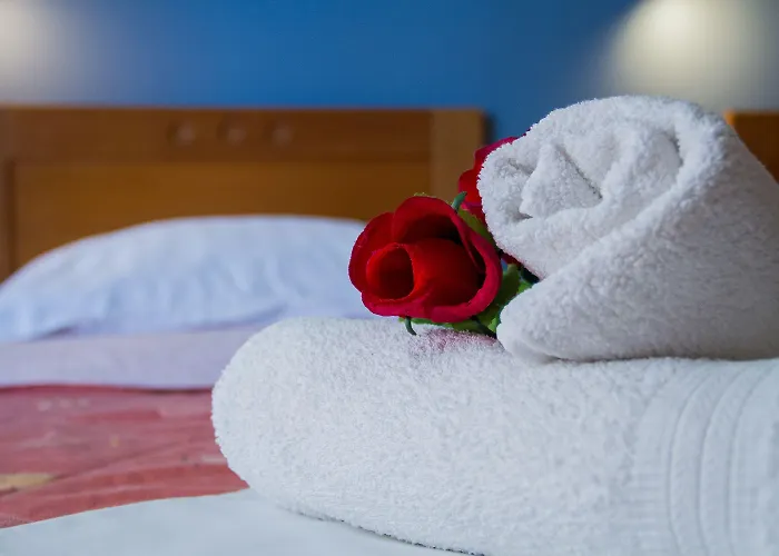 Hotel Rodon 3*