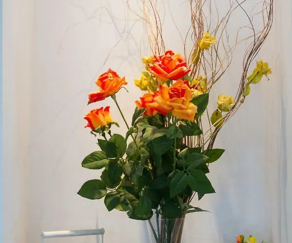 Rodon Hotel