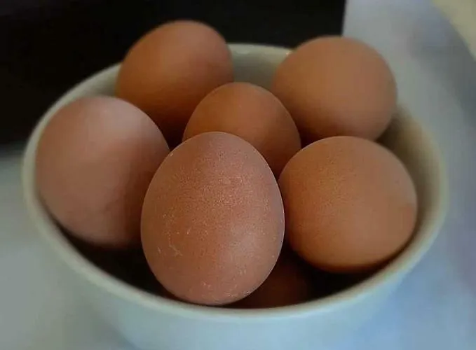 Rodon Hotel Paralía